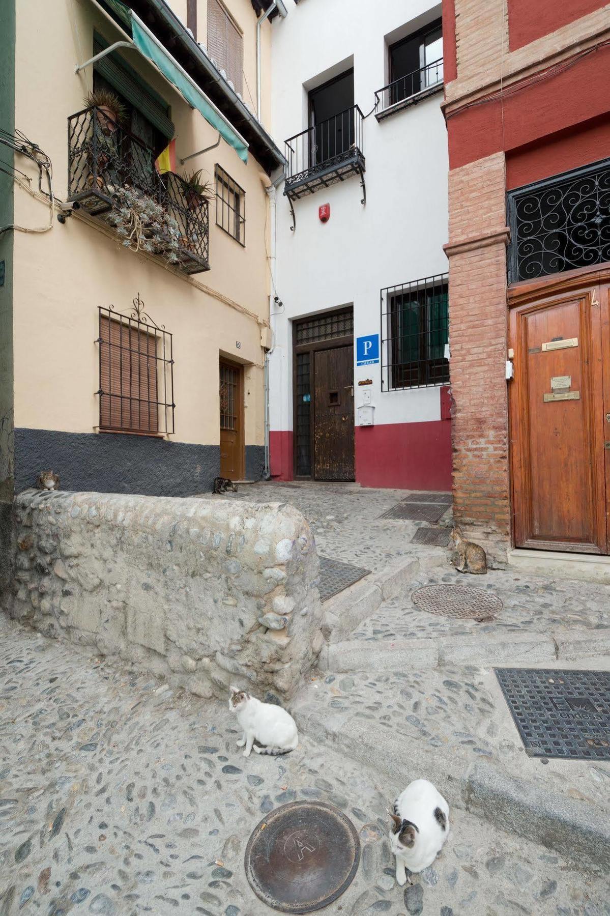 Oasis Backpackers' Granada