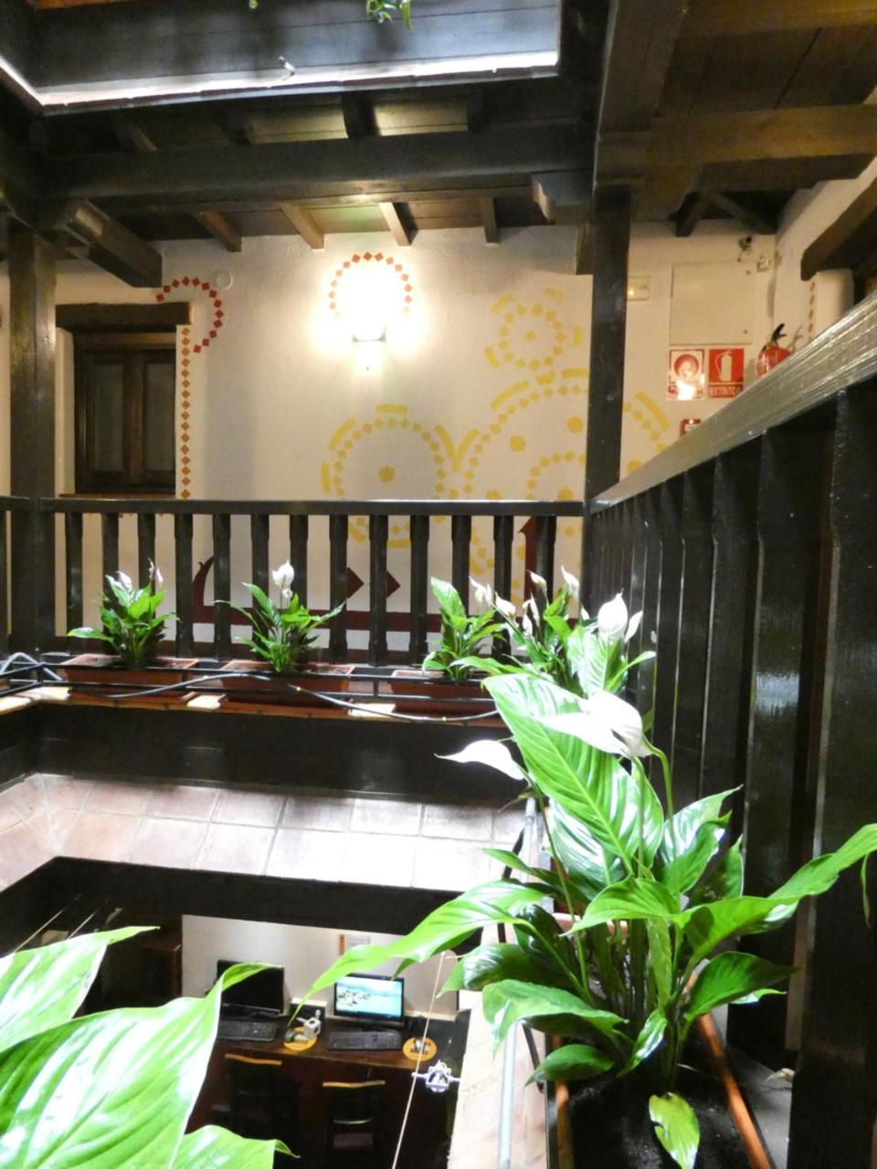 Oasis Backpackers' Hostal *