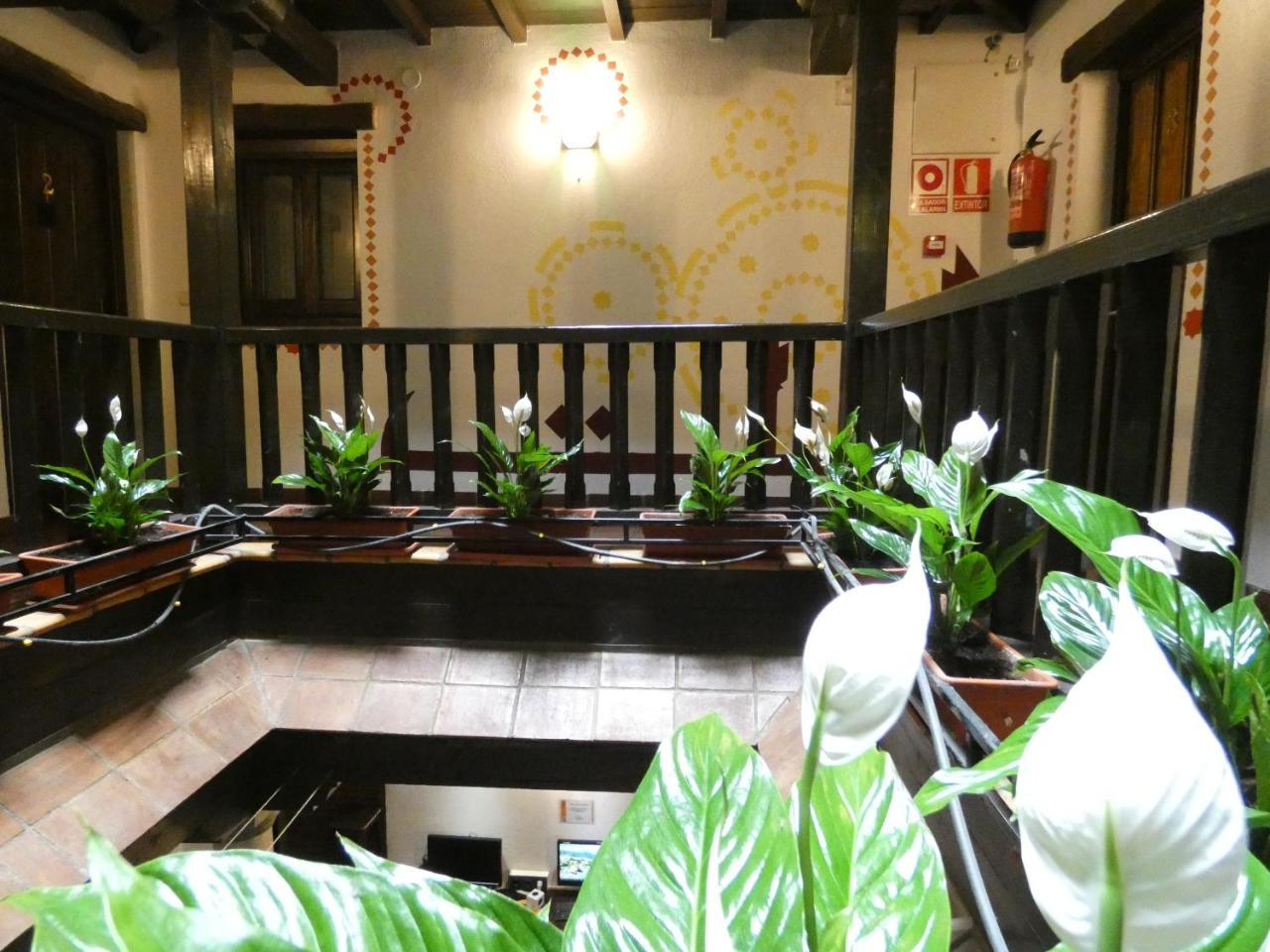 Hostal Oasis Backpackers'